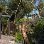 Uliveto Holiday home *