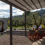 Uliveto Holiday home *