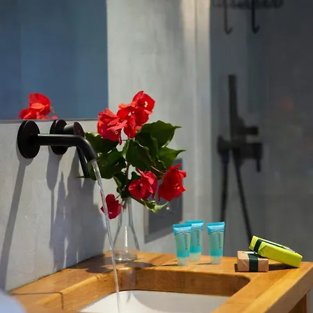 Uliveto Holiday home Lefkada City