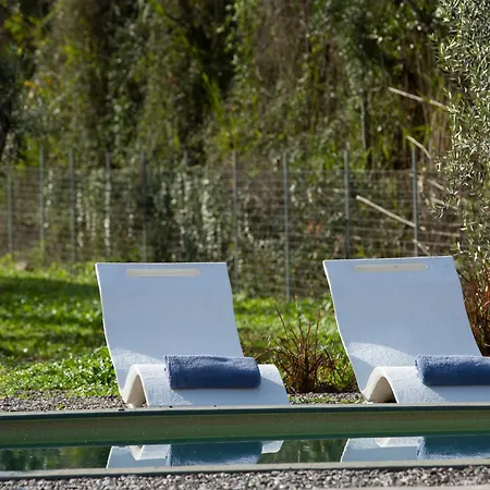 Uliveto Holiday home *