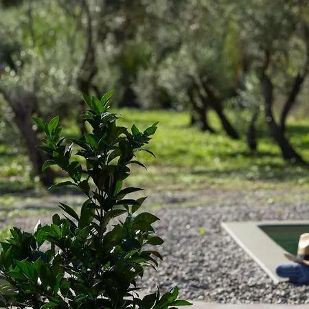Holiday home Uliveto