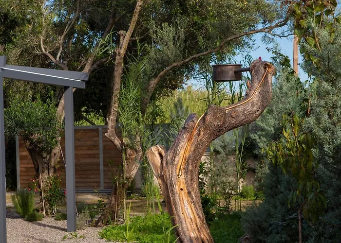 Uliveto Σπίτι διακοπών *