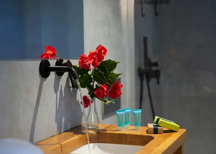 Uliveto Σπίτι διακοπών Λευκάδα