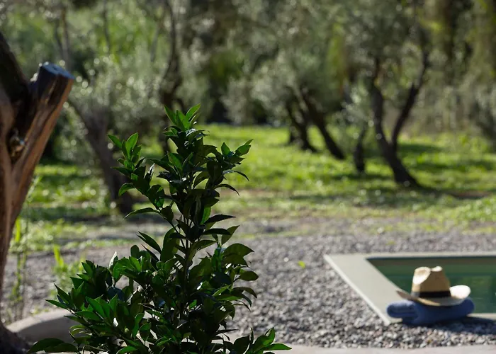 Σπίτι διακοπών Uliveto